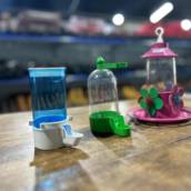 Bebedouro para Pássaros 