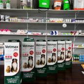 Medicamentos para Animais 