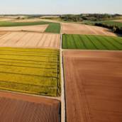 Seguro Agrícola – Proteção e Tranquilidade para o Produtor Rural em Vargem Grande Paulista-SP