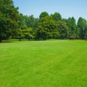 Plantio Relvado – Jardinagem e Paisagismo em Santa Bárbara Resort Residence