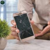 Seguro Celular
