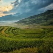 Planialtimetria – Precisão e Detalhamento em Sapiranga/RS