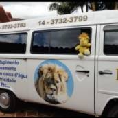 Desentupimento água de chuva e quintal