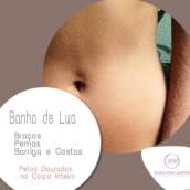 Banho de lua para dourar pêlos em Avaré