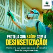 Dedetização Eficiente – Proteção Total em São Manuel/SP