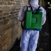 Acabe com os Roedores - Solução Eficaz em Assis/SP