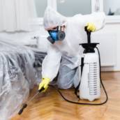 Dedetização de Pragas - Proteção Completa em Assis/SP