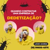 Dedetização Profissional - Proteção e Tranquilidade em Assis/SP