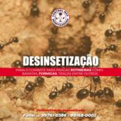 Desinsetização - Proteção Eficaz em Assis/SP