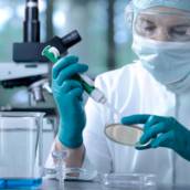 Exame de Paternidade com DNA em Santarém/PA – Laboratório Primavera