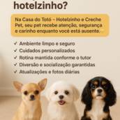 Creche Pet
