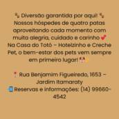 Diversão garantida por aqui!