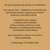  Por que hospedar seu pet em um hotelzinho?