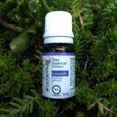 Óleo Essencial de Lavanda Tangerine Biocosméticos
