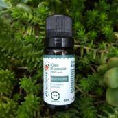 Óleo Essencial de Eucalipto por Tangerine Biocosméticos
