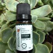Óleo Essencial de Verbena Tangerine Biocosméticos