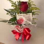 Rosa Vermelha na Água - Simplicidade e Elegância Duradoura - Ourinhos/SP