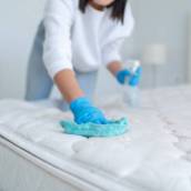 Dedetizadoras em Santa Bárbara: Fim de Fungos e Ácaros