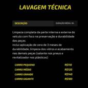 Lavagem Técnica