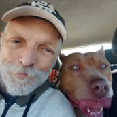 Transporte para Hospedagem e Creche Pet