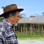 Soluções para Produtores Rurais e Agronegócio