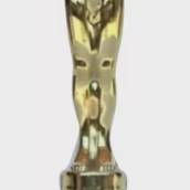 Troféu Personalizado