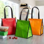 02595 Bolsa Térmica 6 Litros