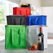 02799 Bolsa Térmica 9 Litros