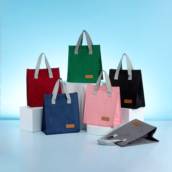 06024 Bolsa Térmica 5 Litros