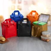 02099 Bolsa Térmica 5 Litros