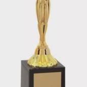 Troféu Oscar Personalizado