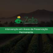 Intervenção em Áreas de Preservação Permanente
