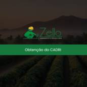Obtenção do CADRI 