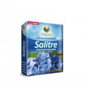 Salitre