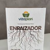 Enraizador 