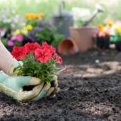 Paisagismo e Jardinagem Residencial e Comercial