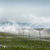 Aspersão e Gotejamento para Irrigação em Avaré