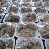 Shimejis Brancos Bandejas 200g - Frescor e praticidade para sua cozinha - São José dos Campos