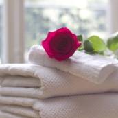 Terapia Holística Profissional para Relaxamento