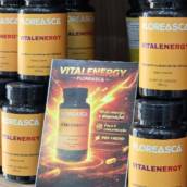 Floreasca VitalEnergy
