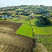 Gestão Rural Em Itatinga SP – Curso Profissionalizante