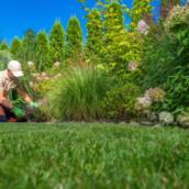 Implantação e Revitalização de Jardins