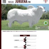 Touro Nelore Juruena FM (N0328)
