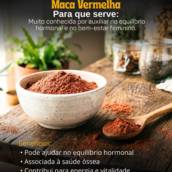 Maca Vermelha em Araçatuba