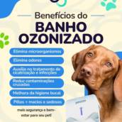 Banho Ozonizado em Praia Grande SP – Saúde e Proteção