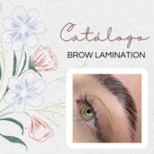 Brow lamination