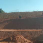 Plantio de Grama em Bauru