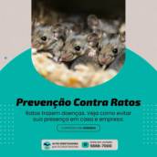 Prevenção Contra Ratos em São Roque | Ambiente Seguro