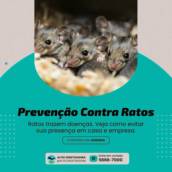 Prevenção Contra Ratos em São Paulo | Ambiente Seguro