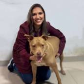 Lara Cristina Freitas Resende - Médica Veterinária | CRMV-GO 13397